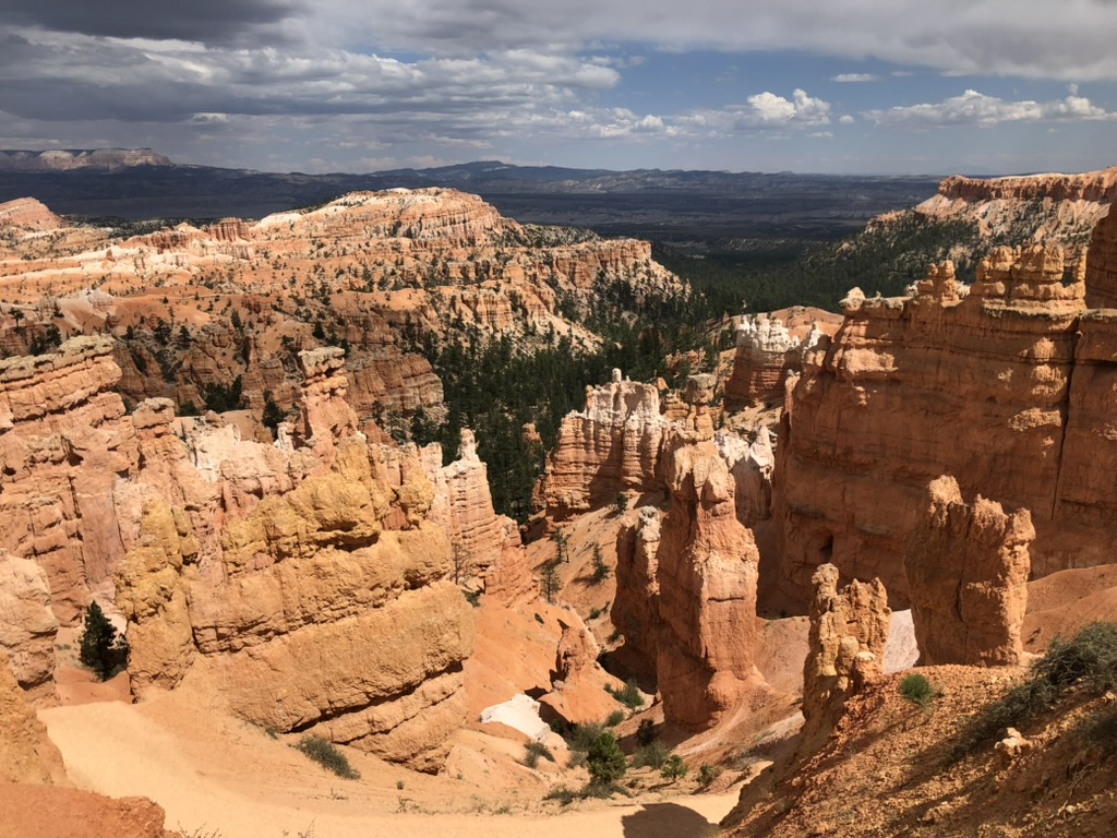 bryce